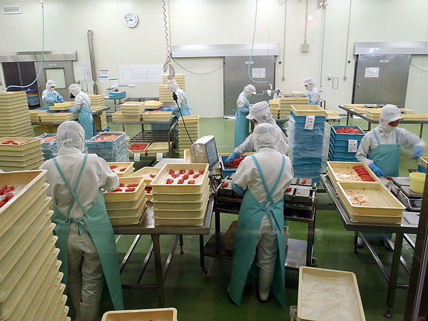 工場見学